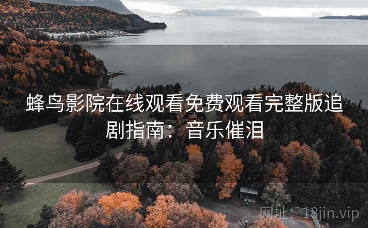 蜂鸟影院在线观看免费观看完整版追剧指南：音乐催泪