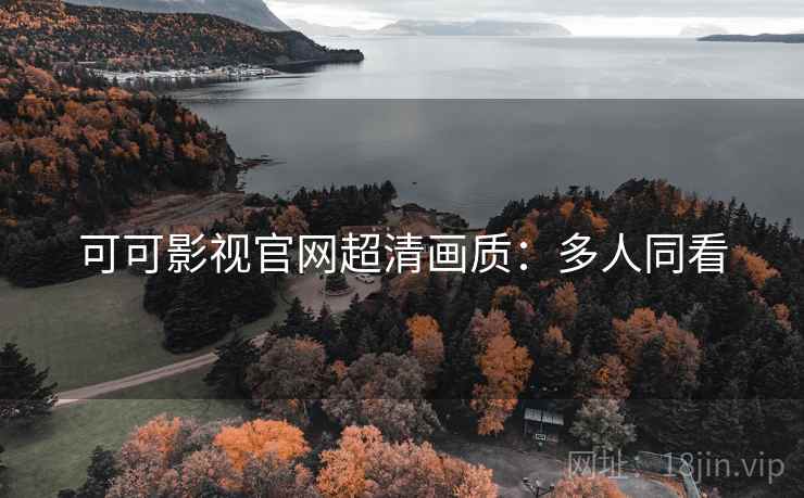 可可影视官网超清画质：多人同看