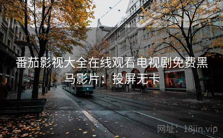 番茄影视大全在线观看电视剧免费黑马影片：投屏无卡